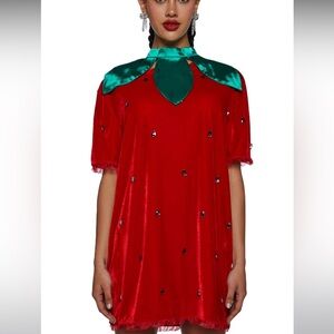 ISO Strawberry costume